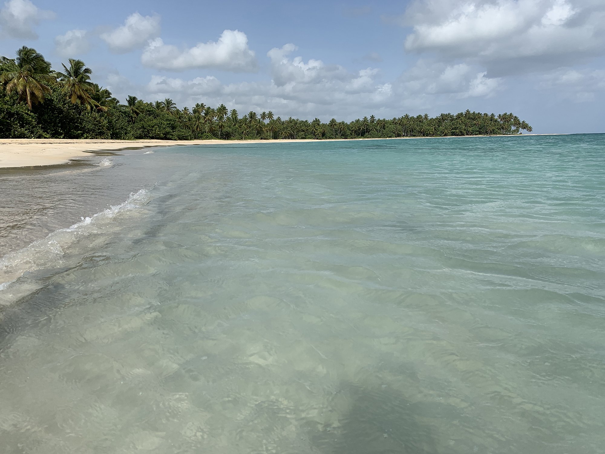 Quiet Caribbean beach